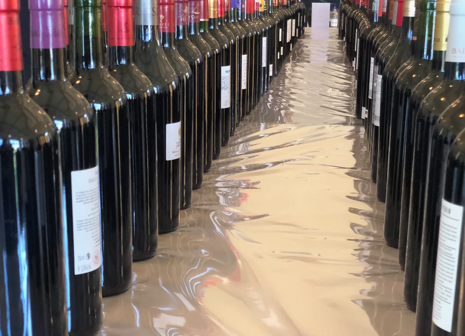 Estampe Ancienne Bordeaux Primeurs – Millésime 1996 – Encadrement Bois – État D'usage