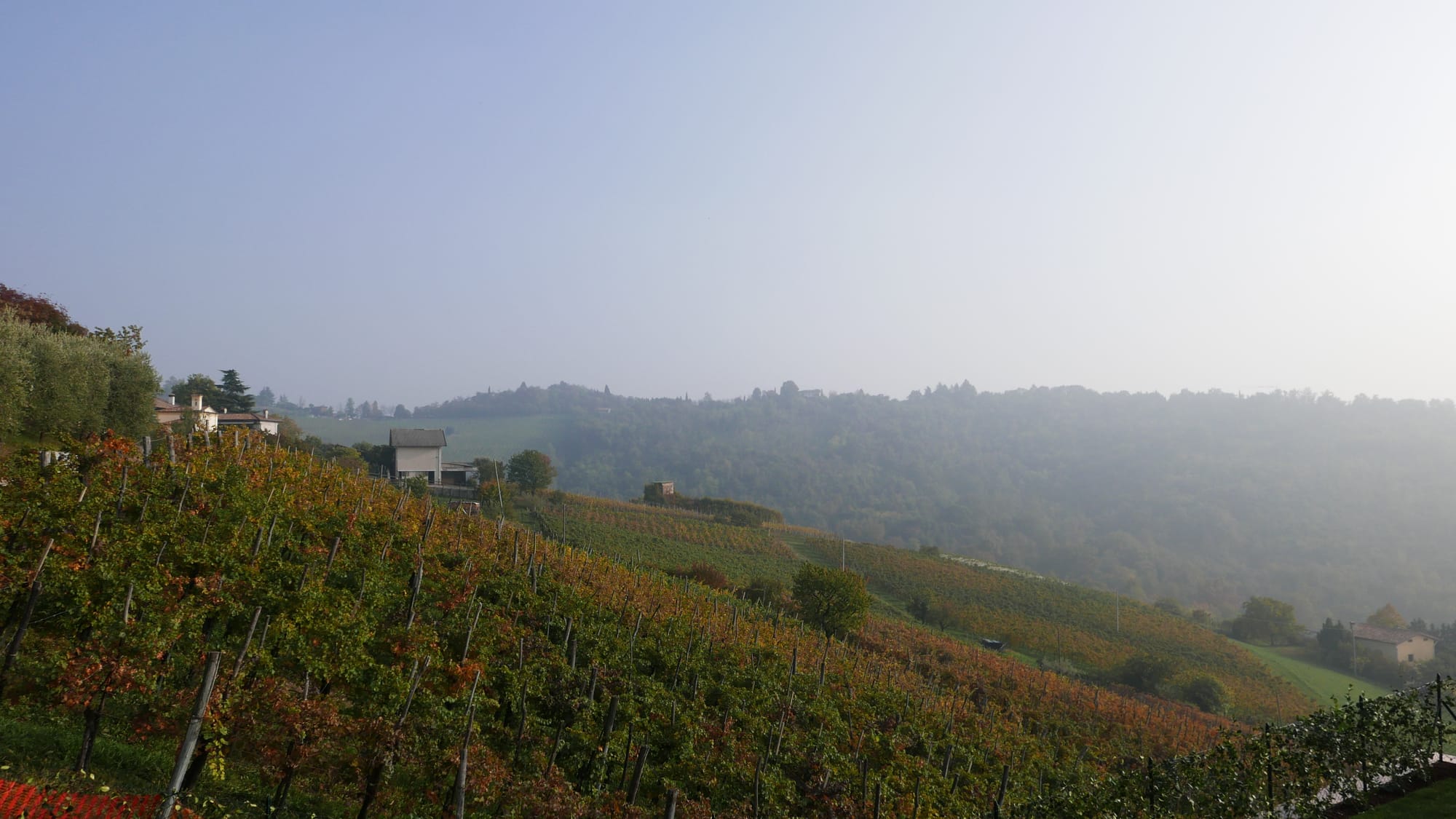 21e Concours « Emozioni dal Mondo Merlot e Cabernet Insieme » 2025 à Bergamo affiche le palmarès de 73 Médailles