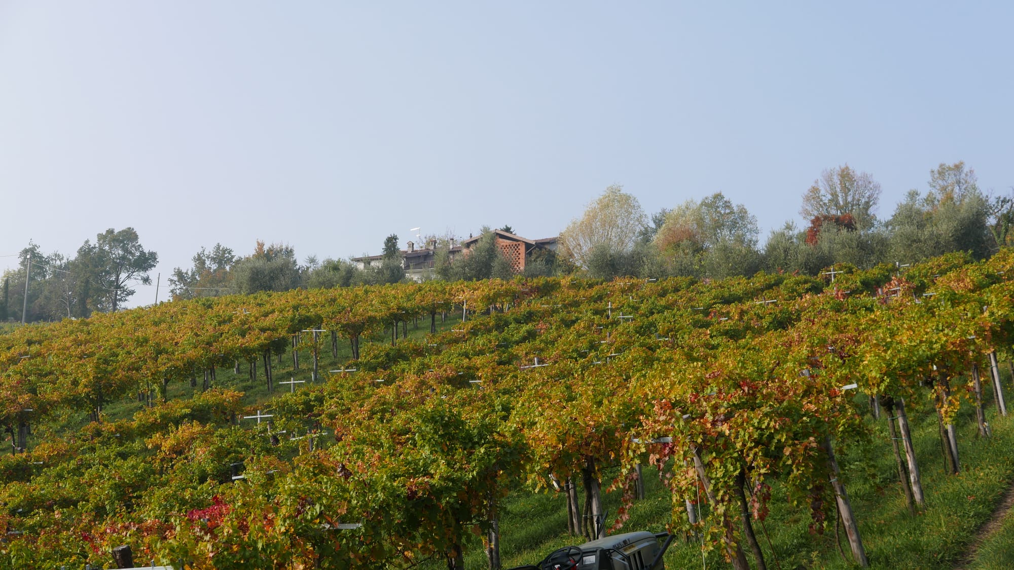 21e Concours « Emozioni dal Mondo Merlot e Cabernet Insieme » 2025 à Bergamo affiche le palmarès de 73 Médailles