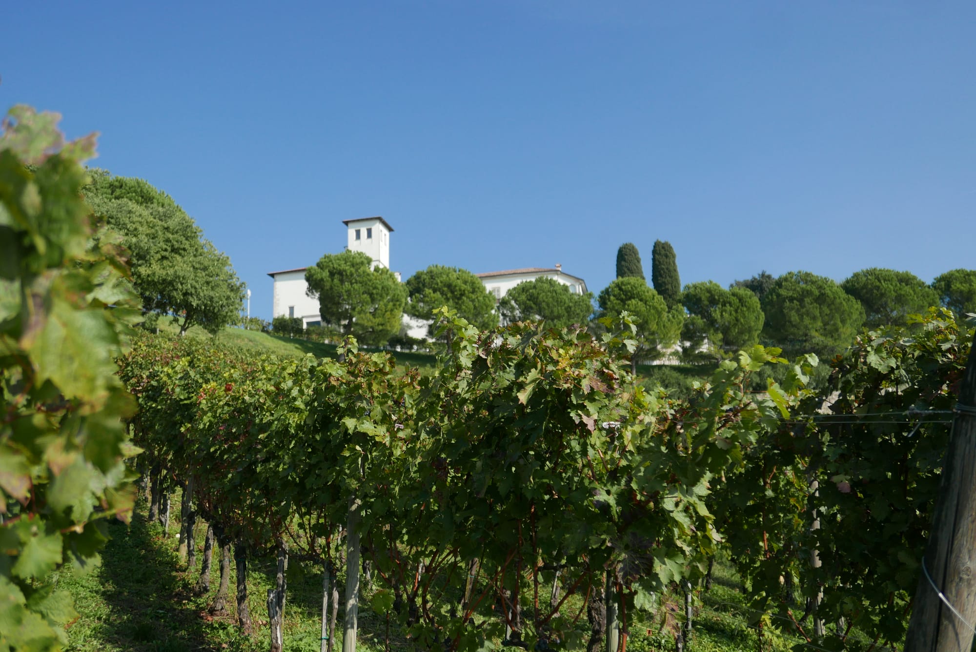 21e Concours « Emozioni dal Mondo Merlot e Cabernet Insieme » 2025 à Bergamo affiche le palmarès de 73 Médailles