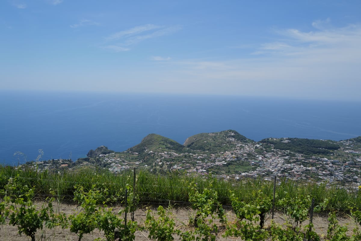 Ischia : vins et vignobles façonnés par la mer, le volcan et le savoir-faire ancestral