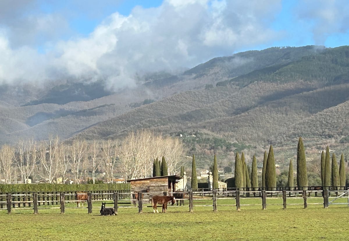 Valdarno di Sopra DOC, le trésor discret et authentique de la Toscane viticole