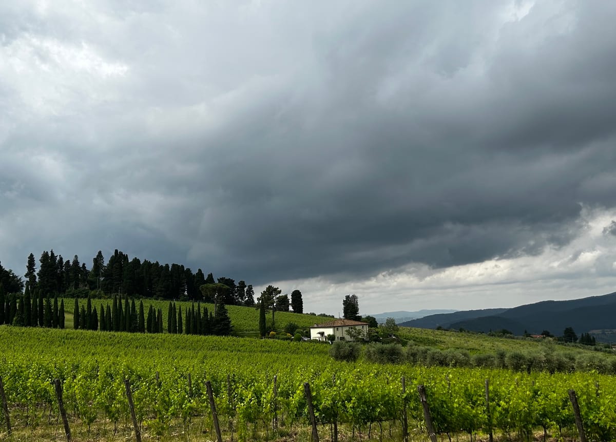 Fattoria Lavacchio, une parenthèse de bonheur au cœur du Chianti Rufina