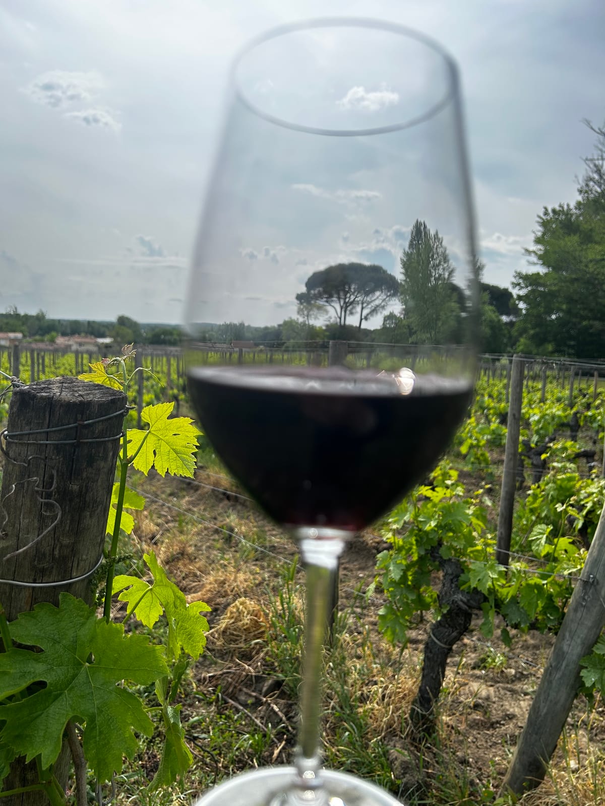 Foires aux vins d’automne 2026 : comment et où dénicher les meilleures bouteilles