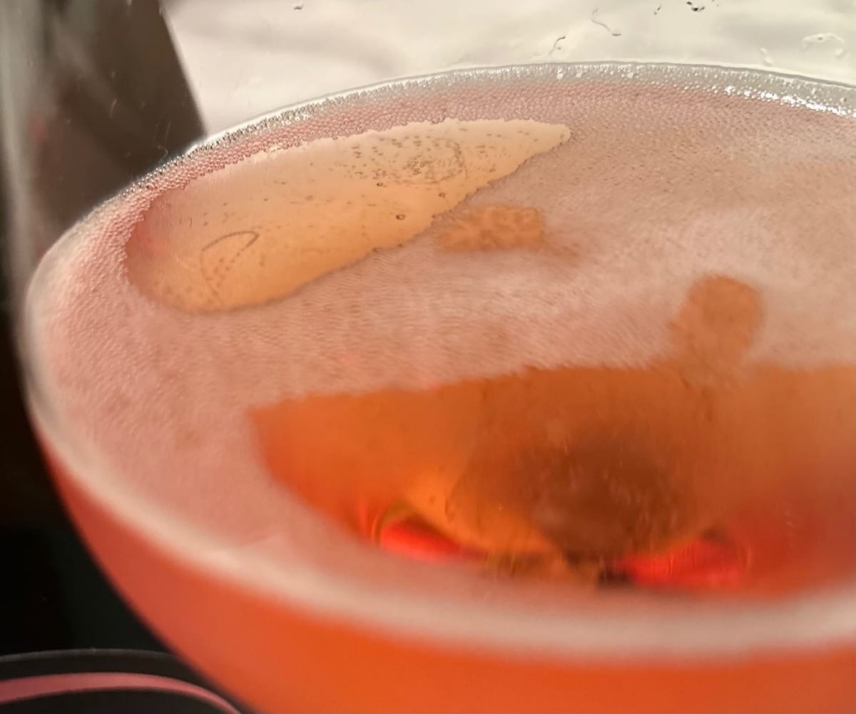 Champagne de Vignerons, Quand le Vécu entre dans la bouteille