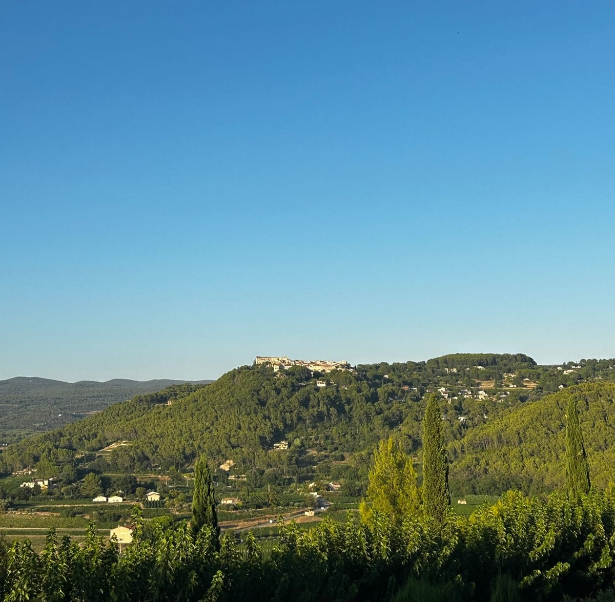 Bandol, l’appellation qui refuse la facilité
