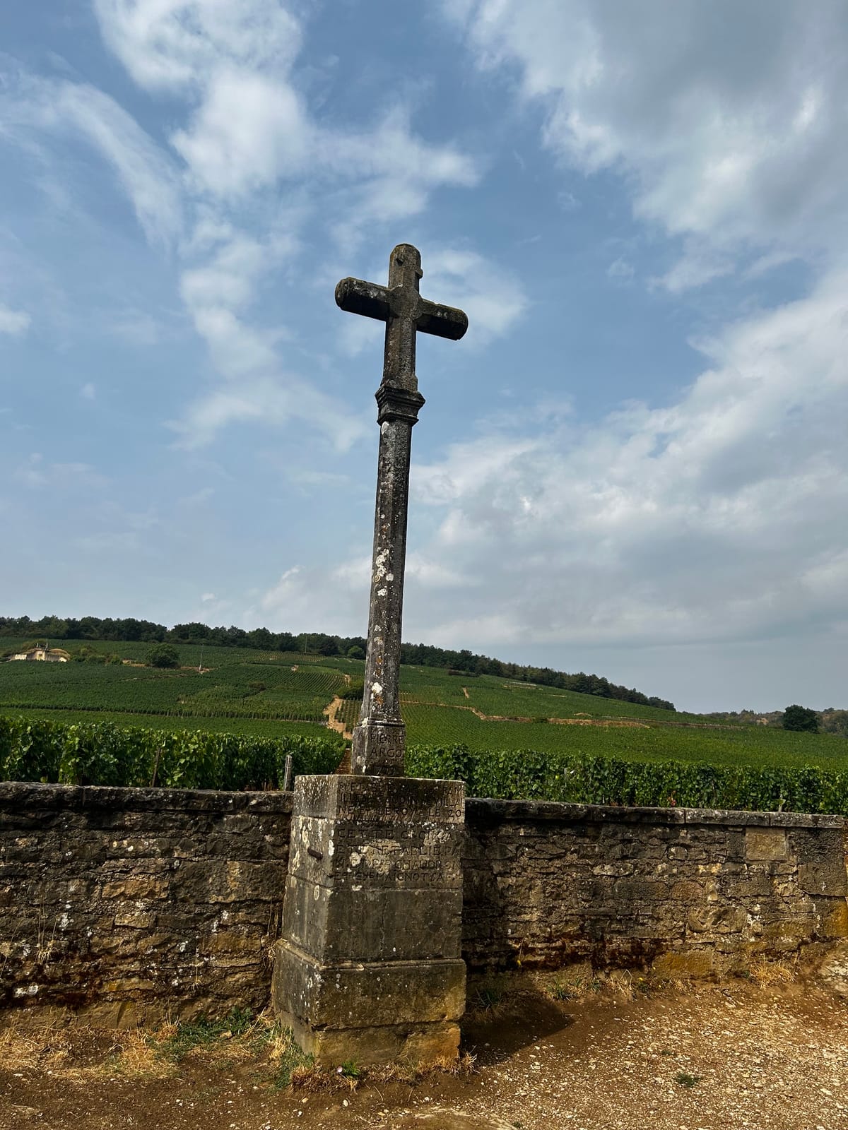 Vosne-Romanée, le village où le Pinot Noir touche à l’absolu