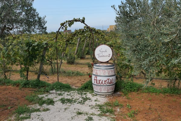 La Sicile, Modèle de la Transition Écologique et de durabilité dans le Monde Viticole