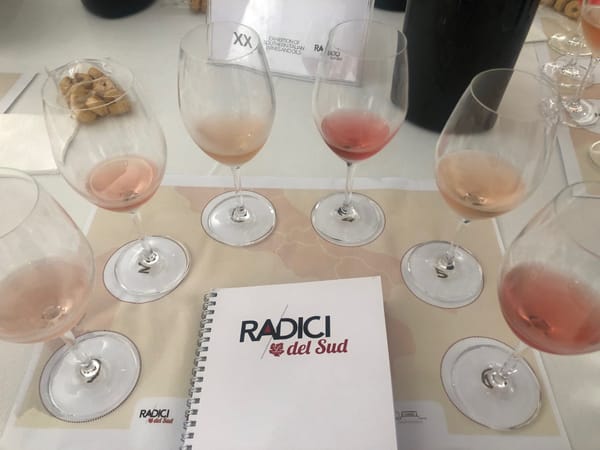 20e Radici del Sud 2025 : Une révélation pour les vins du sud de l’Italie