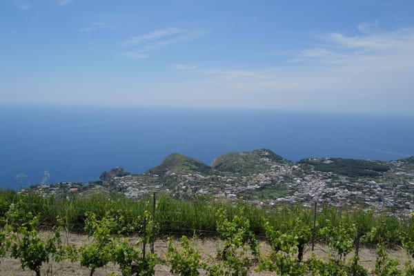 Ischia : vins et vignobles façonnés par la mer, le volcan et le savoir-faire ancestral