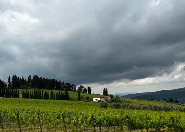 Fattoria Lavacchio, une parenthèse de bonheur au cœur du Chianti Rufina