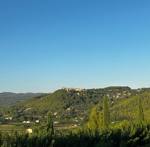 Bandol, l’appellation qui refuse la facilité