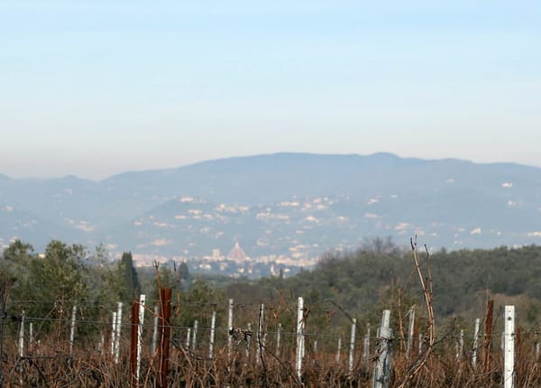 La Toscane, un Paradis viticole en pleine expansion