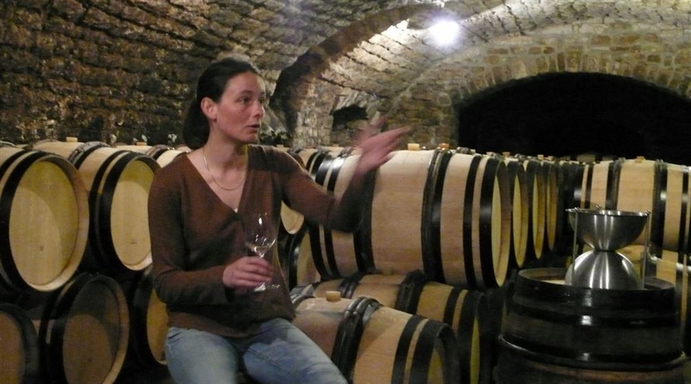 Dégustations de quelques chablis en compagnie d'Etienette chez Vincent Dauvissat