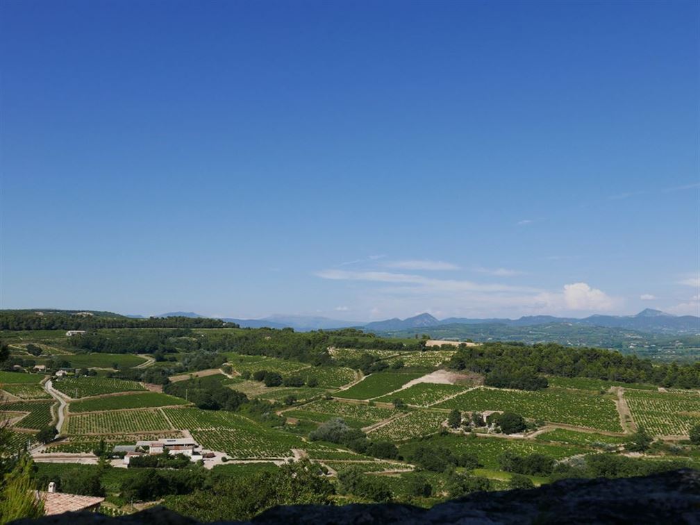 Les collines de Rasteau