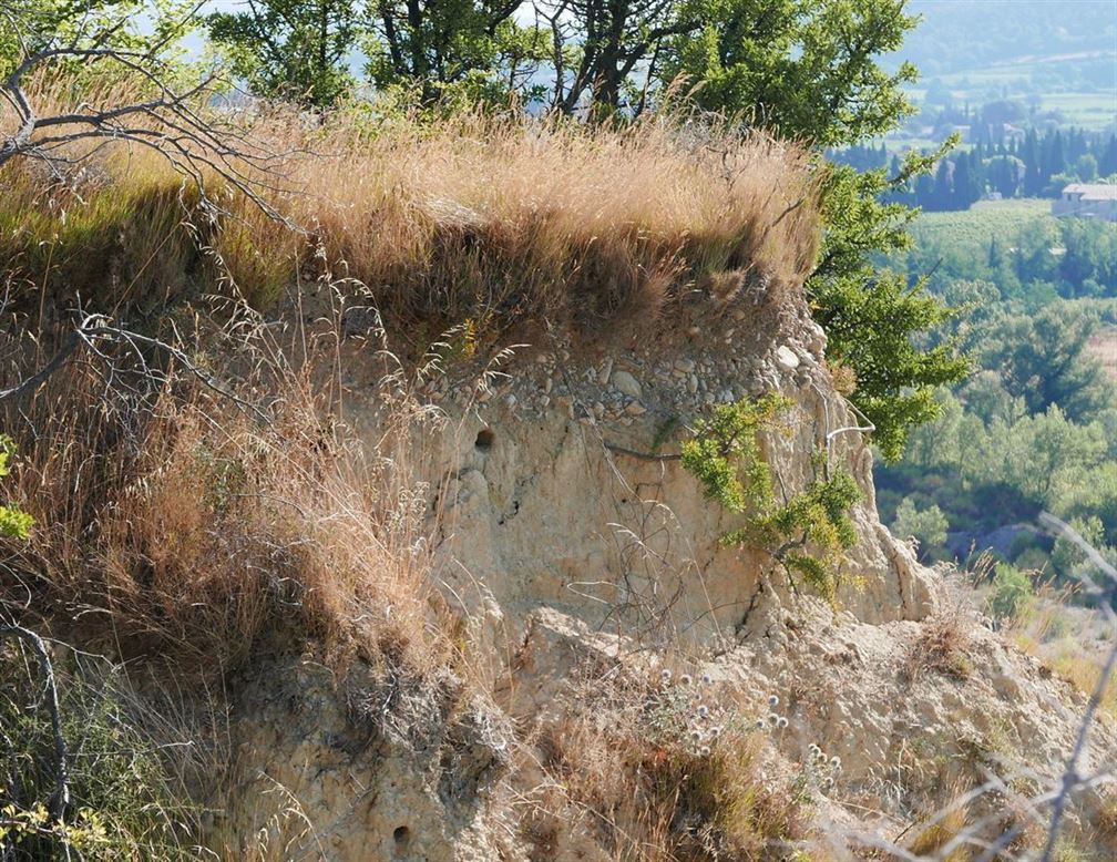 la coupe de sols de Rasteau