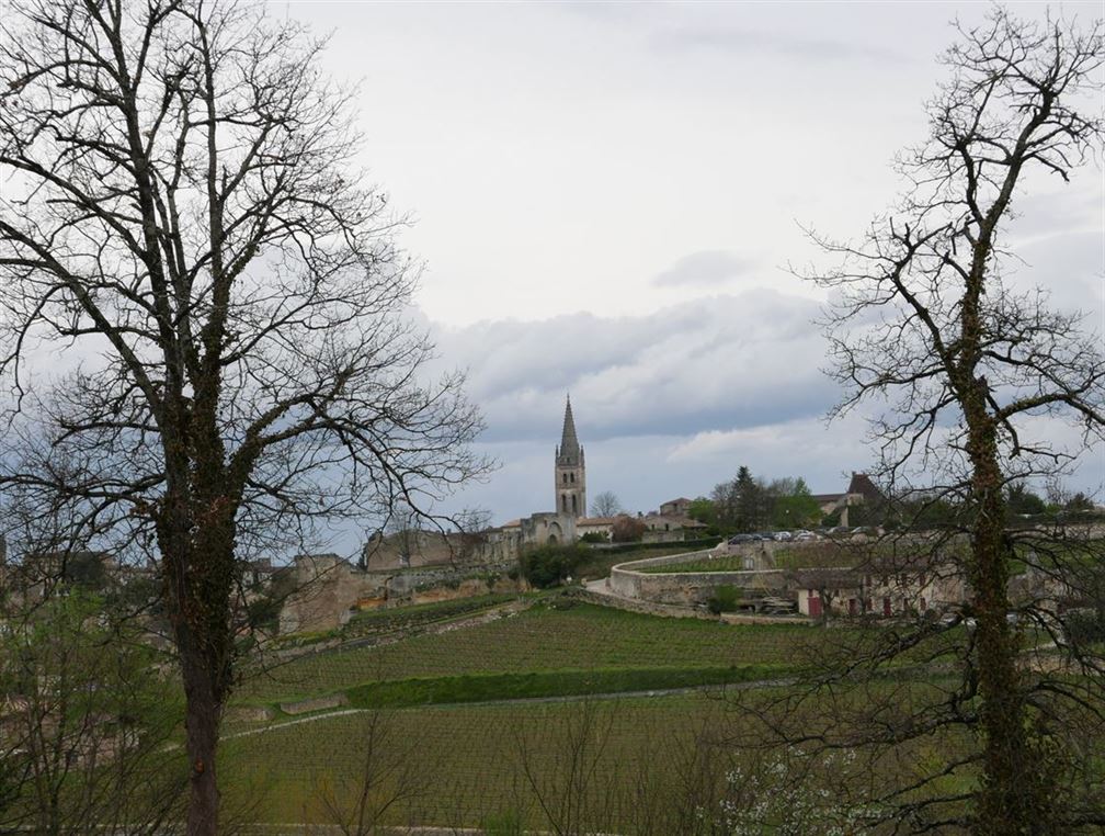 Saint-Emilion avec son plateau calcaire