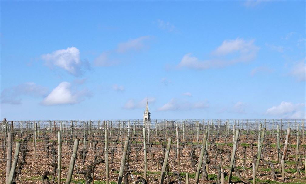 Plateau de Pomerol