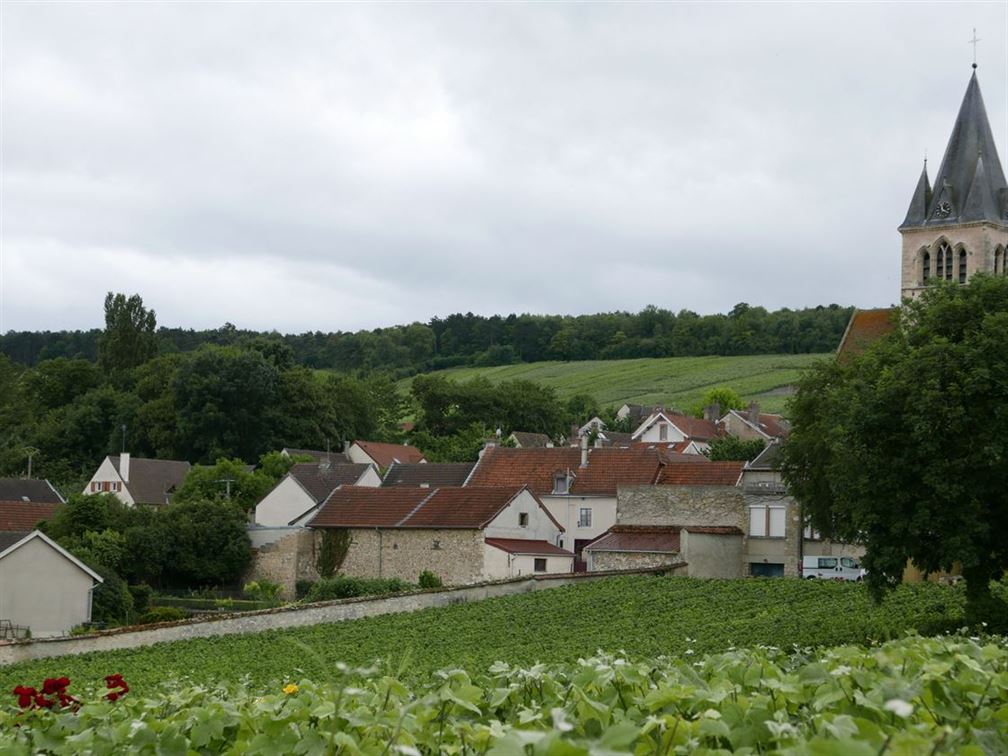 Village de Villedommange dur la Montagne de Reims