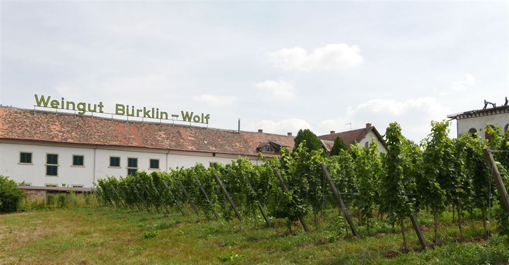 Domaine en biodynamie Weingut Bürklin-Wolf connu par la qualité de ses Riesling 