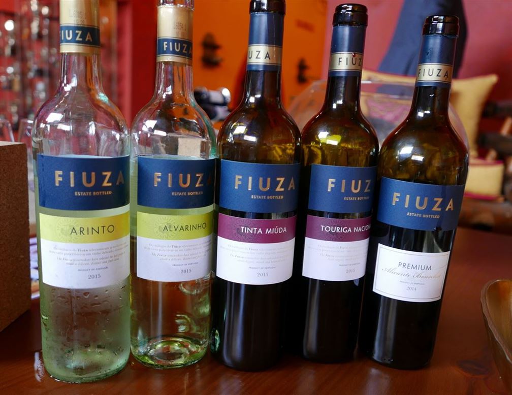 Fiuza, collection 