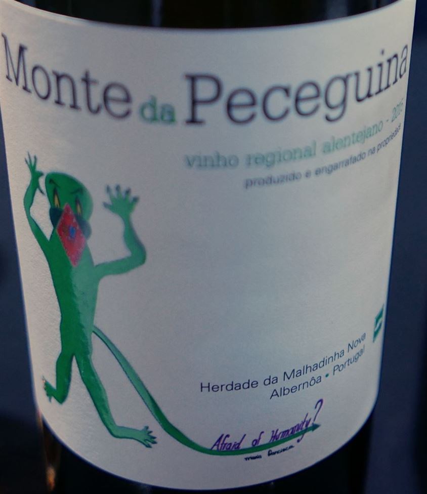 Monte de Pecequina 2015