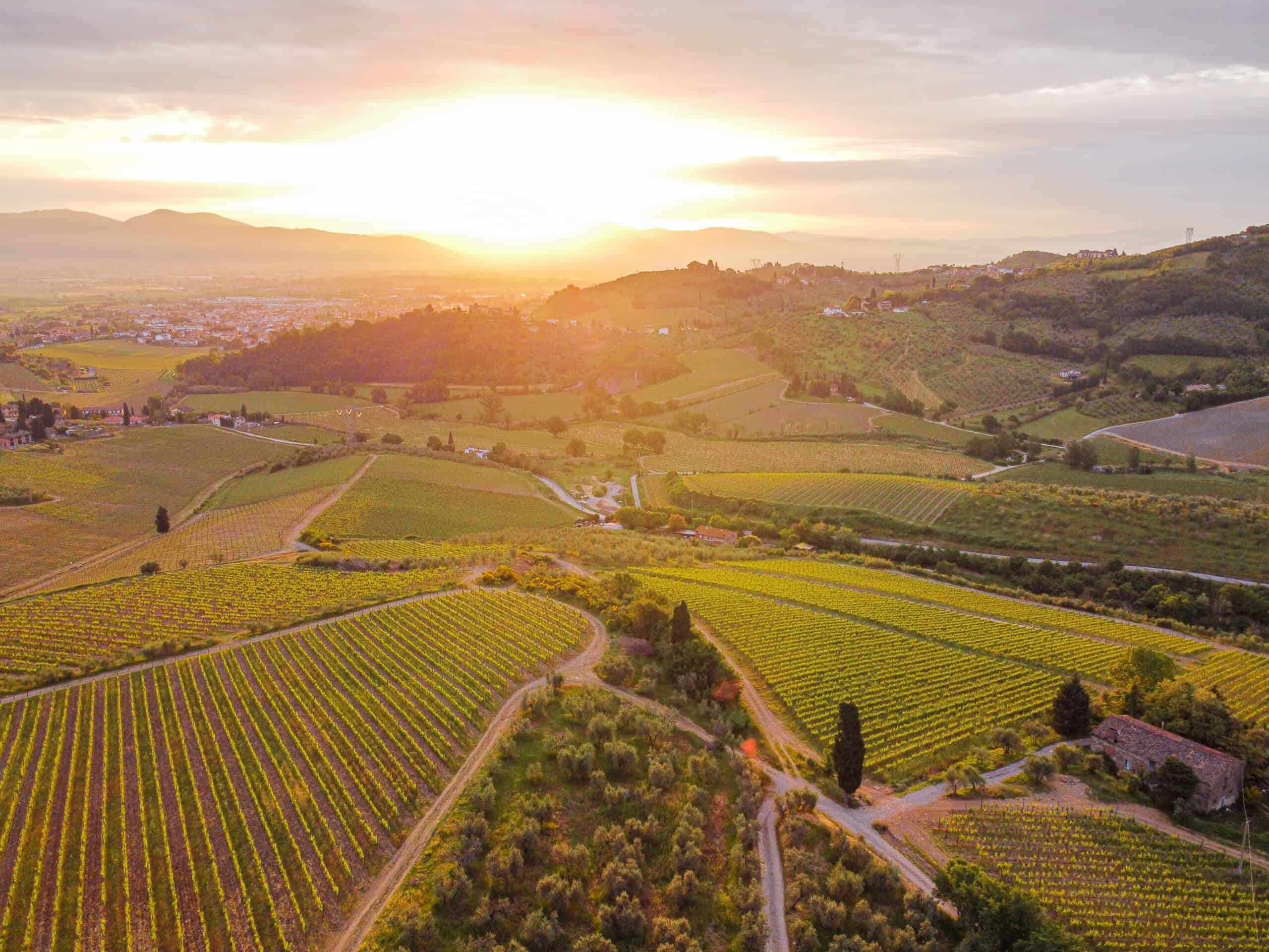 Tenuta di Capezzana, une pépite au cœur de Carmignano DOCG, la plus petite appellation toscane