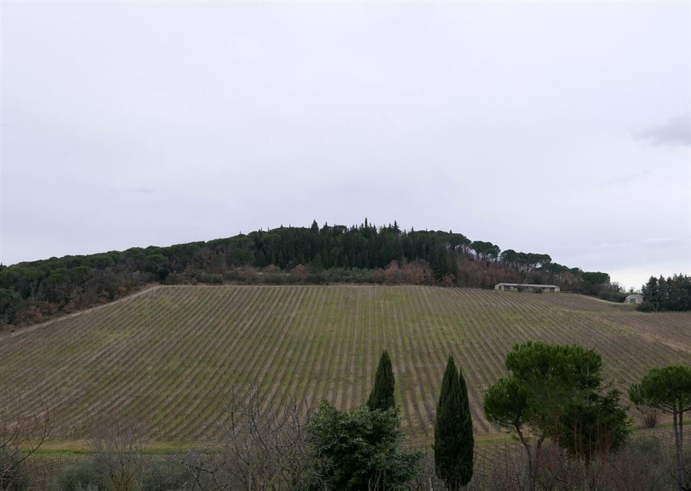 Vignoble Antinori à Badia a   Passignano