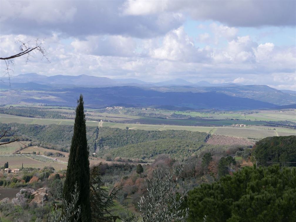 la belle colline de Montalcino, on a du mal à se lasser...